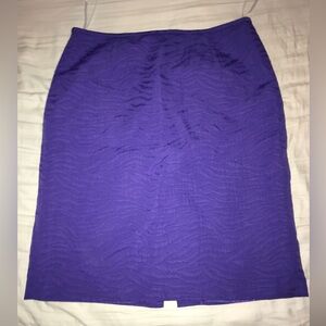 Isabella Suits Skirt Size 14 Purple Knee Length Lined Back Zip Hook/Eye Closure